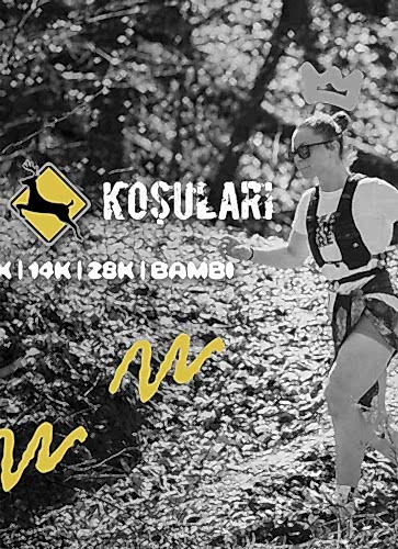 Geyik Koşuları